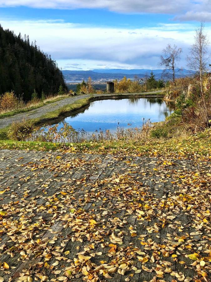 Kleivstua