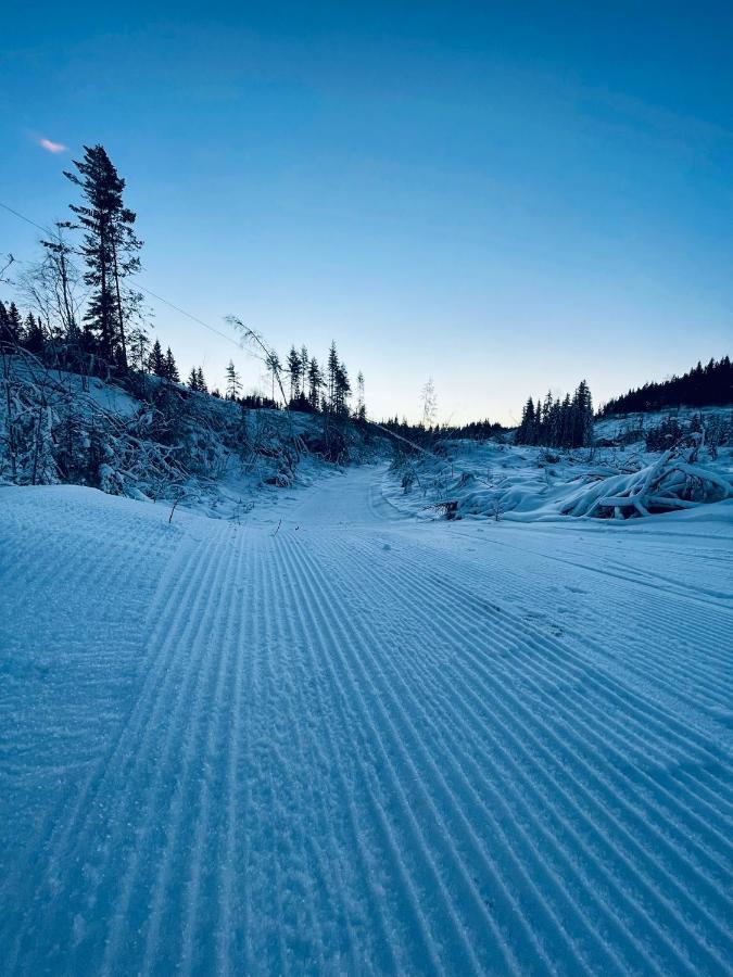Kleivstua Near Krokskogen 4*